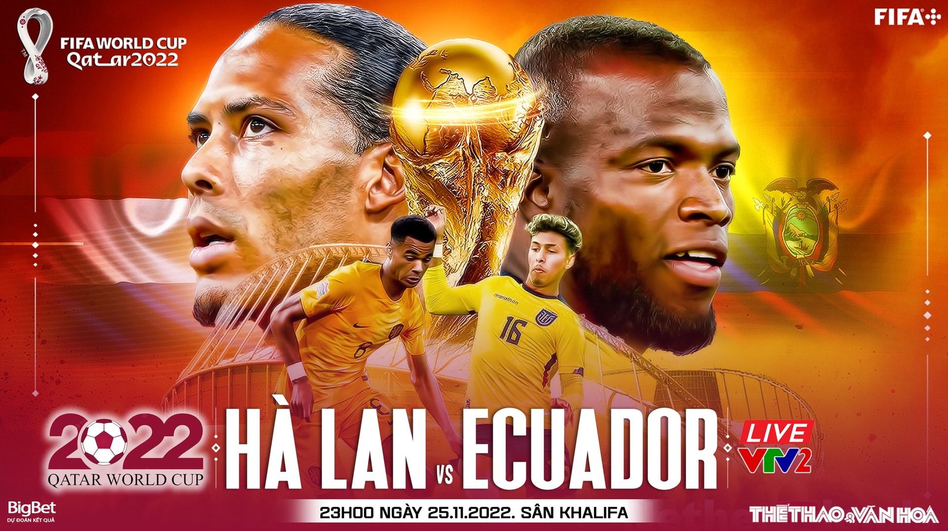 Soi kèo Hà Lan vs Ecuador: Nhận định và Dự đoán Tỉ Số World Cup 2022