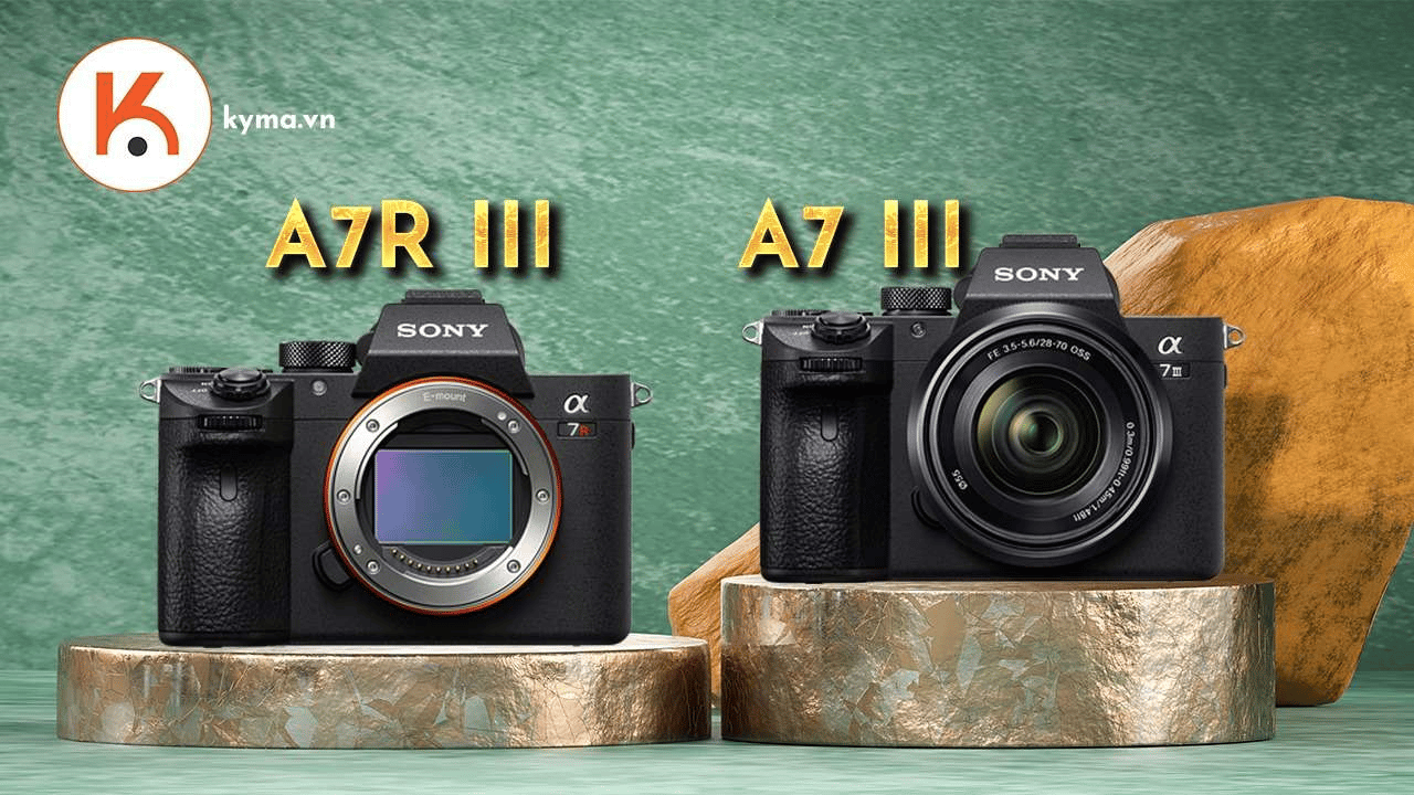 Sony a7 và a7R: Tìm hiểu sự khác biệt về thiết kế và chất lượng ảnh