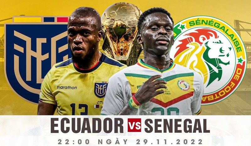 Xem trực tiếp Ecuador vs Senegal: Tỷ lệ kèo và phân tích trước trận đấu