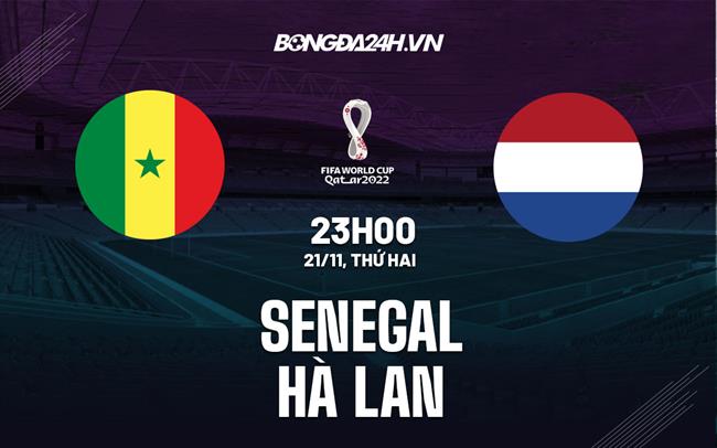 Soi kèo Hà Lan vs Senegal: Cơ hội nào cho Senegal trong trận đấu World Cup?