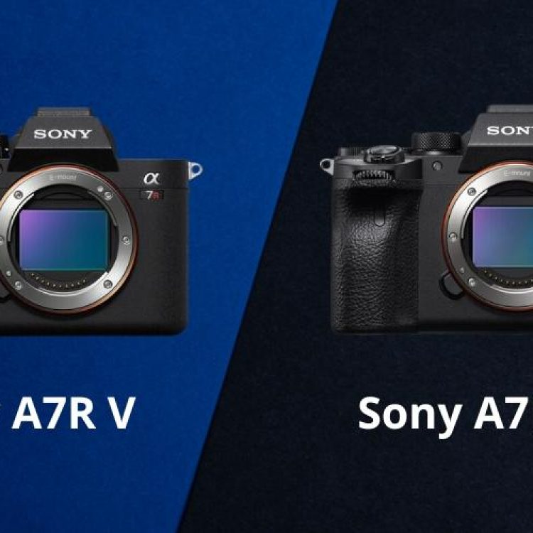 Sony a7 và a7R: Tìm hiểu sự khác biệt về thiết kế và chất lượng ảnh