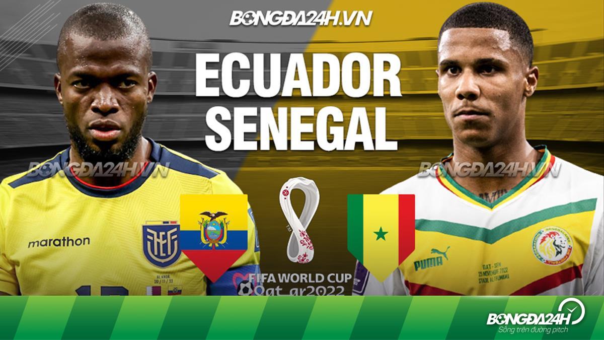 Dự đoán trận Senegal vs Ecuador: Tỷ lệ kèo và nhận định chi tiết 29/11