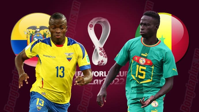 Dự đoán trận Senegal vs Ecuador: Tỷ lệ kèo và nhận định chi tiết 29/11