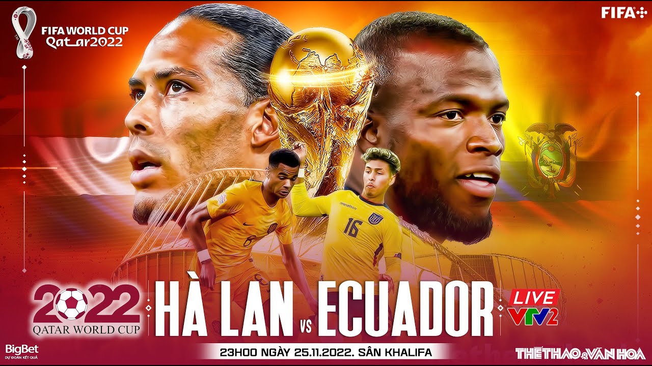 Trực tiếp Hà Lan vs Ecuador 25/11: Đánh giá lực lượng và chiến thuật thi đấu