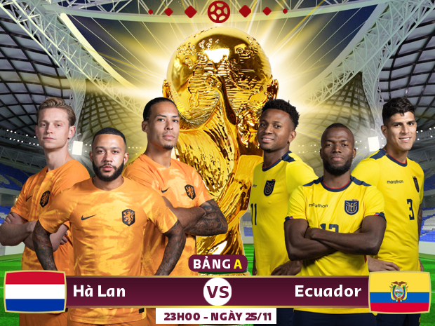 Trực tiếp Hà Lan vs Ecuador 25/11: Đánh giá lực lượng và chiến thuật thi đấu