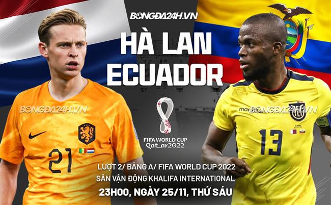 Soi Kèo Hà Lan vs Ecuador: Phân tích, Tỷ lệ và Nhận định Trận Đấu