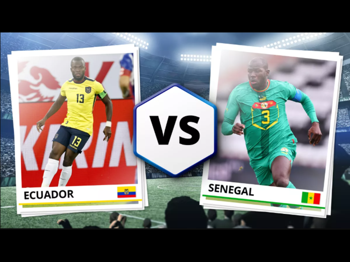 Dự đoán trận Senegal vs Ecuador: Tỷ lệ kèo và nhận định chi tiết 29/11