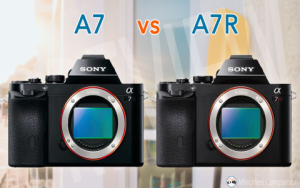 Sony a7 và a7R: Tìm hiểu sự khác biệt về thiết kế và chất lượng ảnh