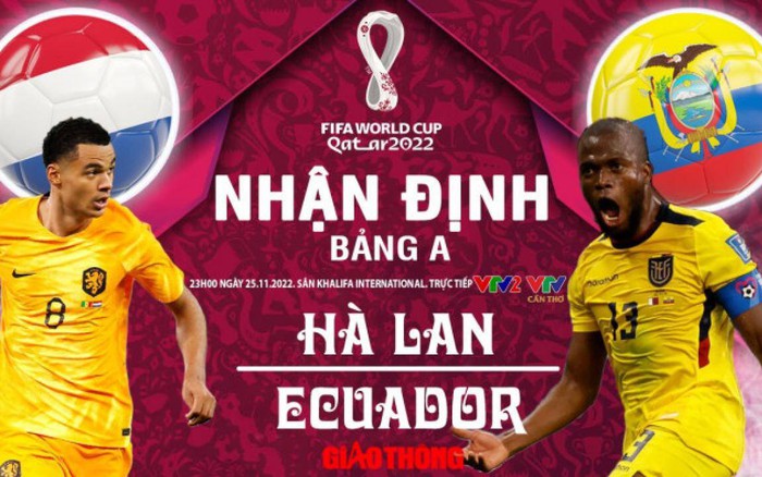 Soi kèo Hà Lan vs Ecuador: Nhận định, Tỷ lệ cược World Cup 2022